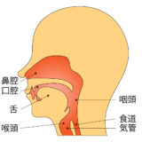 十勝の耳鼻科・耳鼻咽喉科一覧