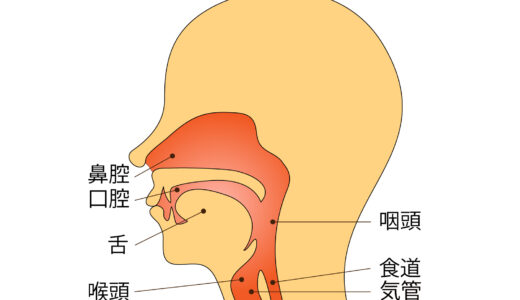 下のソーシャルリンクからフォロー