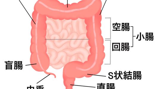 下のソーシャルリンクからフォロー